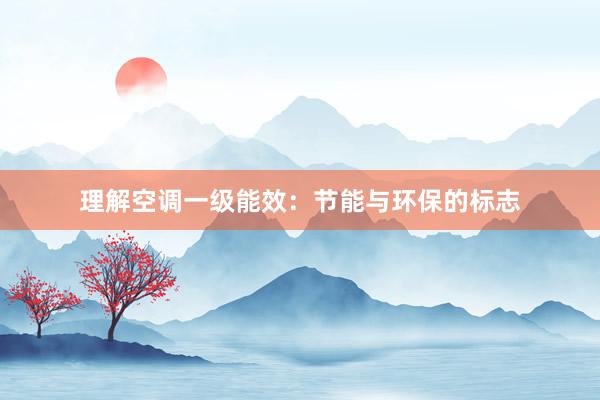 理解空调一级能效：节能与环保的标志